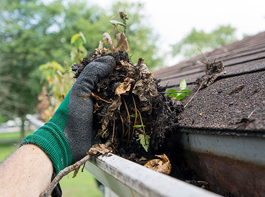 Gutter Cleaning