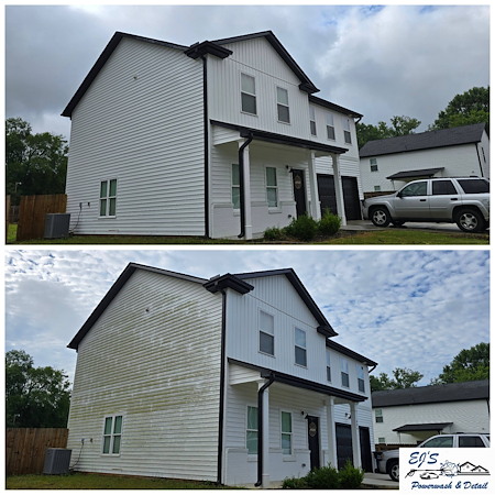 How mold mildew and algae thrive in south carolina winters