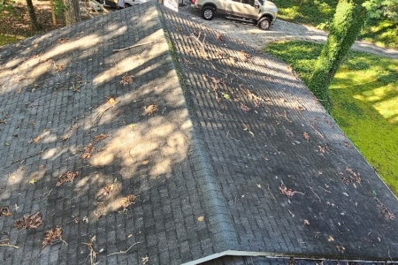 What Causes Black Streaks On Roofs and How Roof Cleaning Removes Them Thumbnail